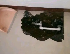 峨边卫生间测漏水多少钱